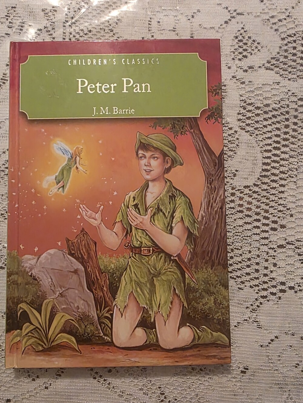 Children's Classics Peter Pan J.M. Barrie Illustrated hardcover  2007